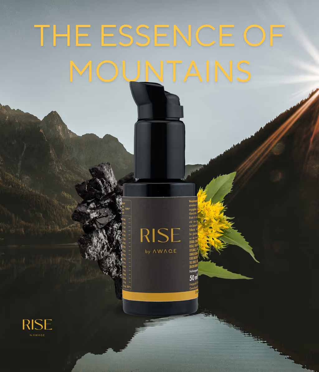 RISE